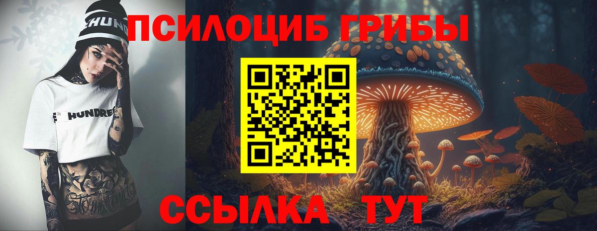 Галлюциногенные грибы прущие грибы  наркота  Псилоцибиновые грибы MAGIC MUSHROOMS  Братск  Вход с VPN 